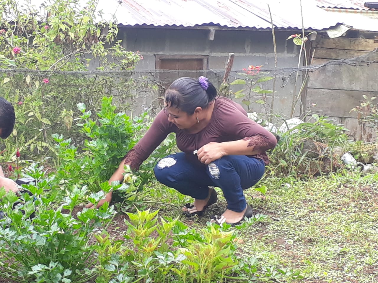 FINCA2